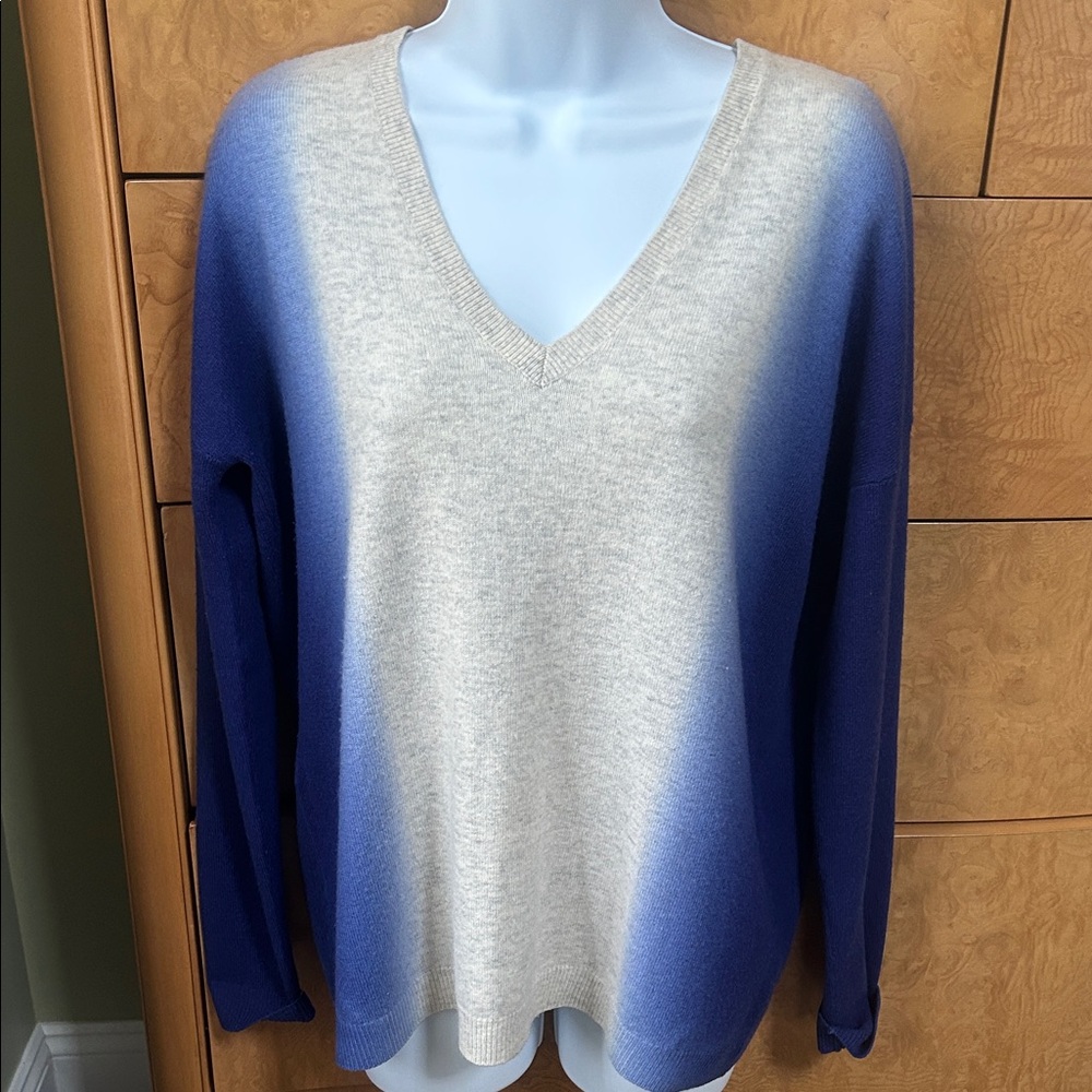Vince Blue and Cream V-Neck Sweater